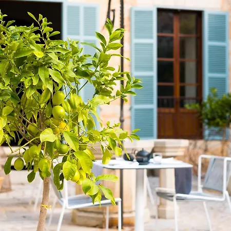 Hotel 1902 Townhouse 4*